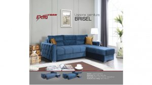 BRISEL