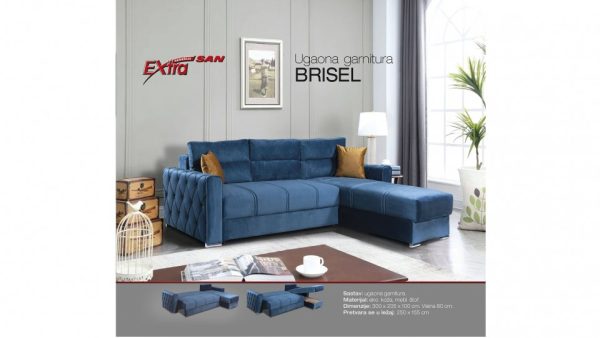 BRISEL